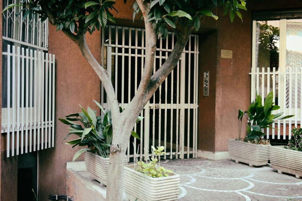 Inn Trastevere Roma Exterior foto